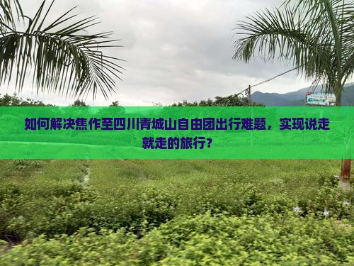 如何解决焦作至四川青城山自由团出行难题，实现说走就走的旅行？