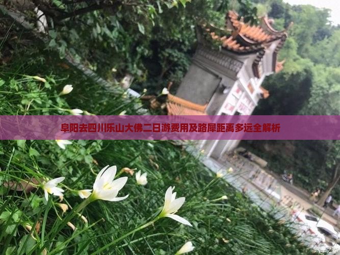 阜阳去四川乐山大佛二日游费用及路犀距离多远全解析