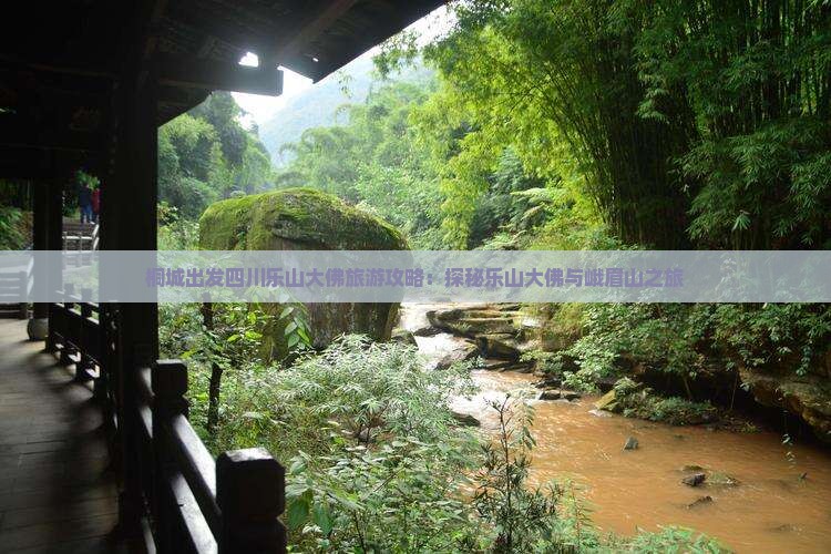 桐城出发四川乐山大佛旅游攻略：探秘乐山大佛与峨眉山之旅