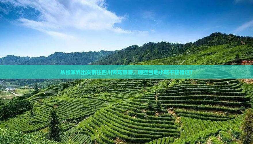 从张家界出发前往四川黄龙旅游，哪些当地小吃不容错过？