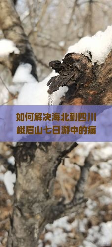 如何解决海北到四川峨眉山七日游中的痛点和热点问题，打造完美旅行体验？