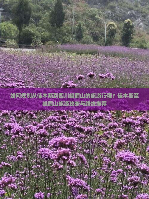 如何规划从佳木斯到四川峨眉山的旅游行程？佳木斯至峨眉山旅游攻略与路线推荐