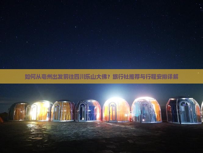 如何从亳州出发前往四川乐山大佛？旅行社推荐与行程安排详解