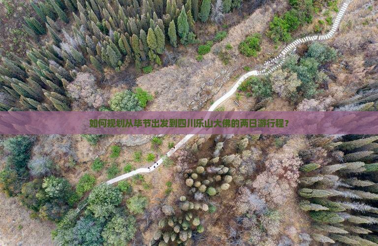 如何规划从毕节出发到四川乐山大佛的两日游行程？