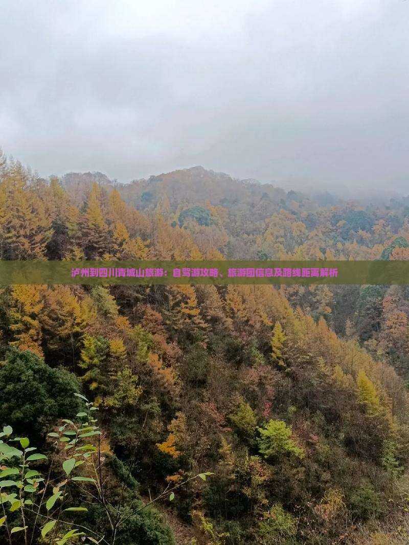 泸州到四川青城山旅游：自驾游攻略、旅游团信息及路线距离解析