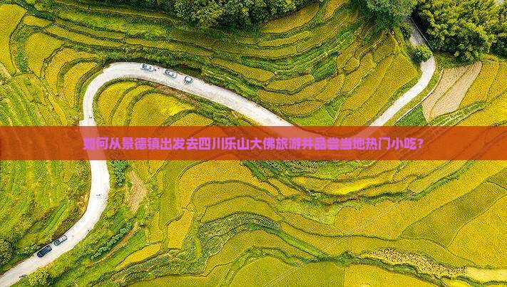 如何从景德镇出发去四川乐山大佛旅游并品尝当地热门小吃？