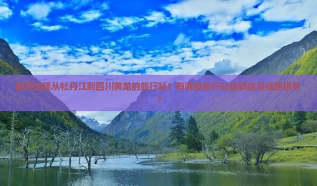 如何选择从牡丹江到四川黄龙的旅行社？有哪些旅行社提供这条线路服务？