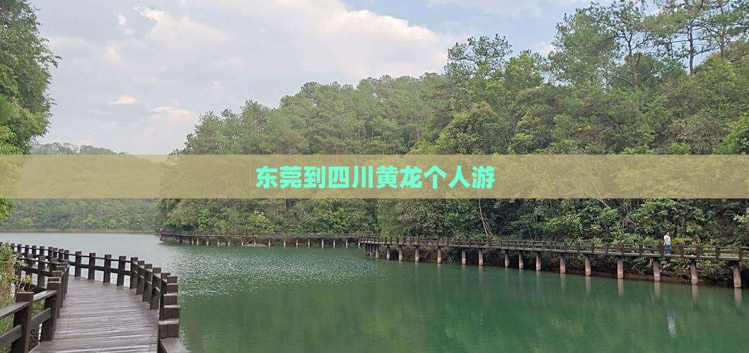 东莞到四川黄龙个人游