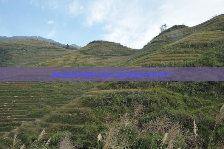 如何组织吴忠至四川成都大型旅游团的行程与预订？
