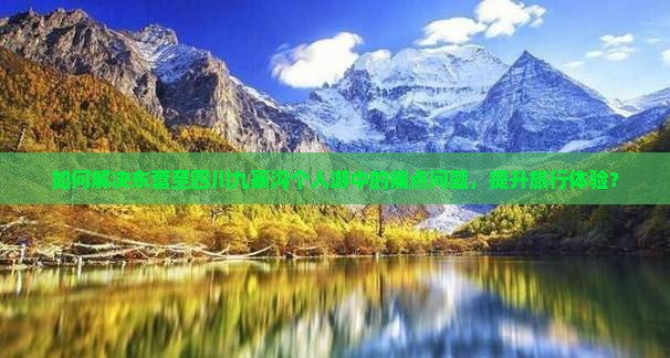 如何解决东营至四川九寨沟个人游中的痛点问题，提升旅行体验？
