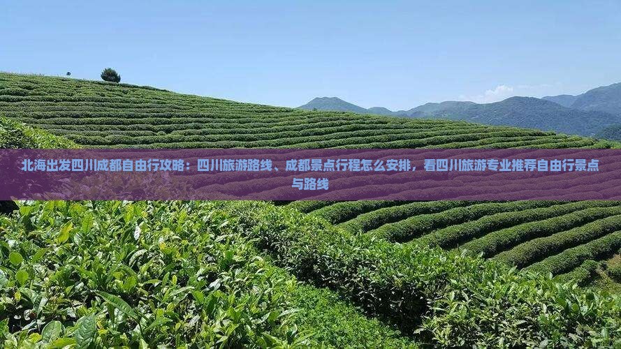北海出发四川成都自由行攻略：四川旅游路线、成都景点行程怎么安排，看四川旅游专业推荐自由行景点与路线