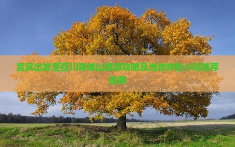 宜宾出发至四川青城山旅游攻略及当地特色小吃推荐指南