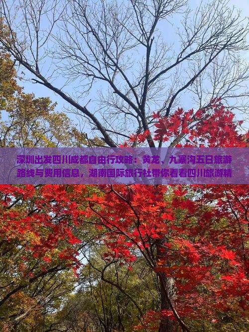 深圳出发四川成都自由行攻略：黄龙、九寨沟五日旅游路线与费用信息，湖南国际旅行社带你看看四川旅游精华