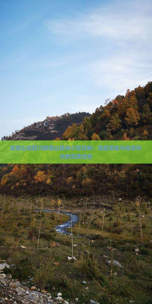 武夷山去四川峨眉山旅游小吃攻略：地道美食与自然风光的完美结合