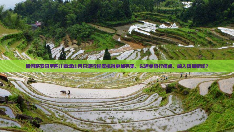 如何将安阳至四川青城山四日游行程安排得更加完美，以避免旅行痛点，融入热词新词？