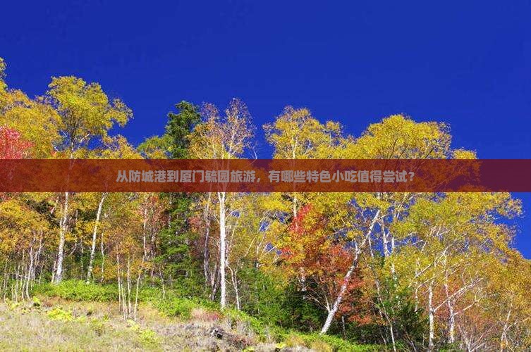 从防城港到厦门毓园旅游，有哪些特色小吃值得尝试？