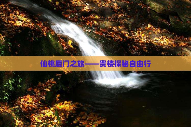 仙桃厦门之旅——贵楼探秘自由行