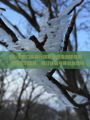 黄山至厦门自由行攻略及团组选择指南：如何规划路线、预订住宿与体验当地特色？