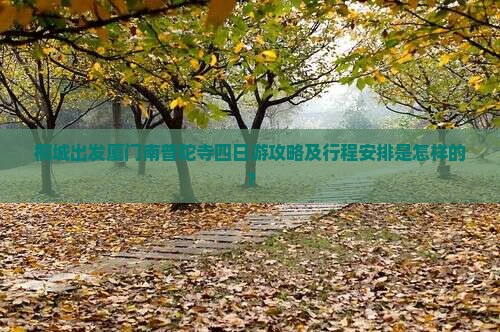 桐城出发厦门南普陀寺四日游攻略及行程安排是怎样的？