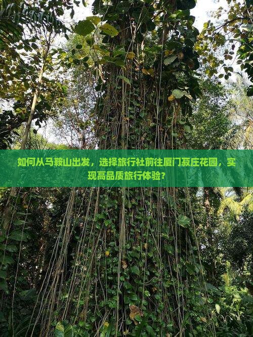 如何从马鞍山出发，选择旅行社前往厦门菽庄花园，实现高品质旅行体验？