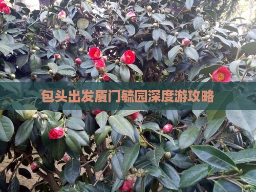 包头出发厦门毓园深度游攻略