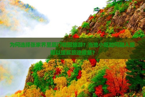 为何选择张家界至厦门毓园旅游？当地小吃如何融入旅程以缓解旅途疲惫？