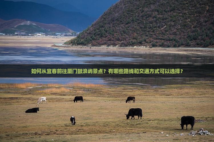 如何从宜春前往厦门鼓浪屿景点？有哪些路线和交通方式可以选择？