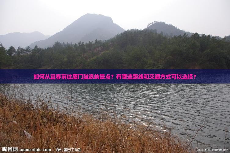如何从宜春前往厦门鼓浪屿景点？有哪些路线和交通方式可以选择？