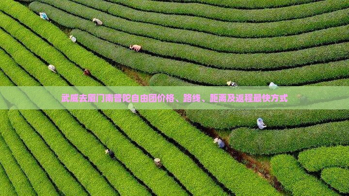 武威去厦门南普陀自由团价格、路线、距离及返程最快方式