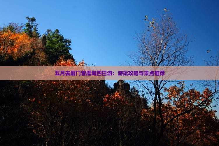 五月去厦门曾厝埯四日游：游玩攻略与景点推荐