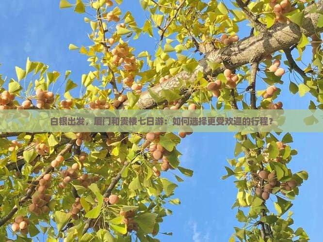 白银出发，厦门和贵楼七日游：如何选择更受欢迎的行程？