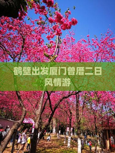 鹤壁出发厦门曾厝二日风情游
