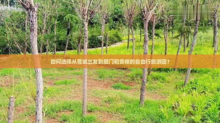 如何选择从晋城出发到厦门和贵楼的自由行旅游团？