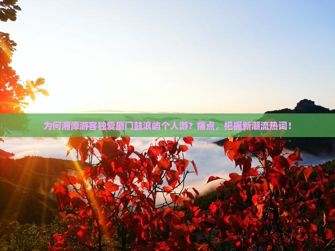 为何湘潭游客独爱厦门鼓浪屿个人游？痛点，把握新潮流热词！
