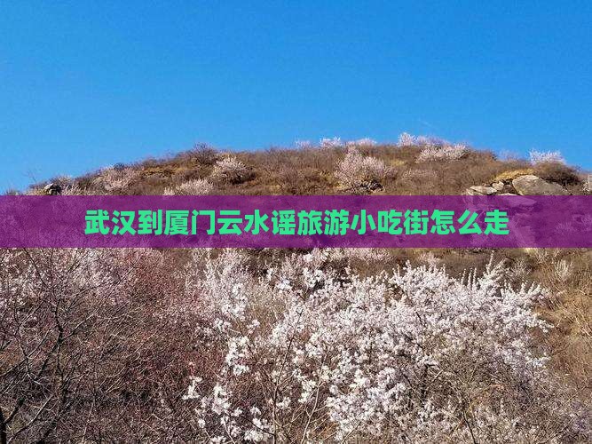 武汉到厦门云水谣旅游小吃街怎么走