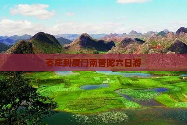 枣庄到厦门南普陀六日游