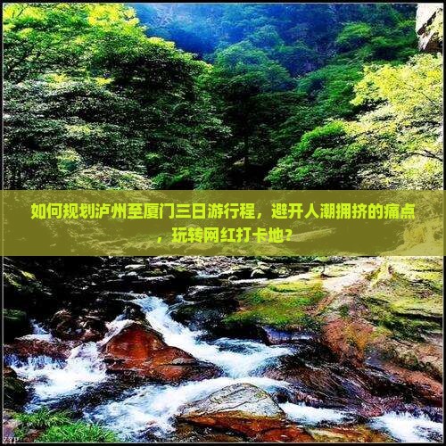 如何规划泸州至厦门三日游行程，避开人潮拥挤的痛点，玩转网红打卡地？