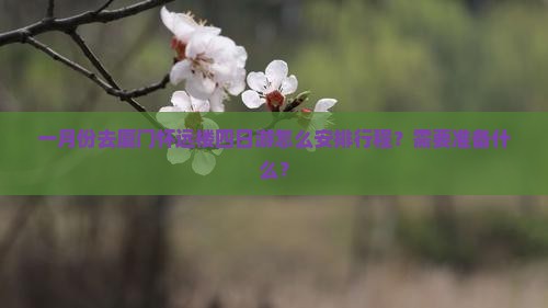 一月份去厦门怀远楼四日游怎么安排行程？需要准备什么？