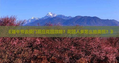 《端午节去厦门菽庄花园攻略？花园人多怎么拍美照？》