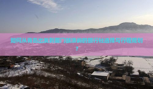 如何从青岛出发到厦门鼓浪屿的旅行社选择与行程规划？