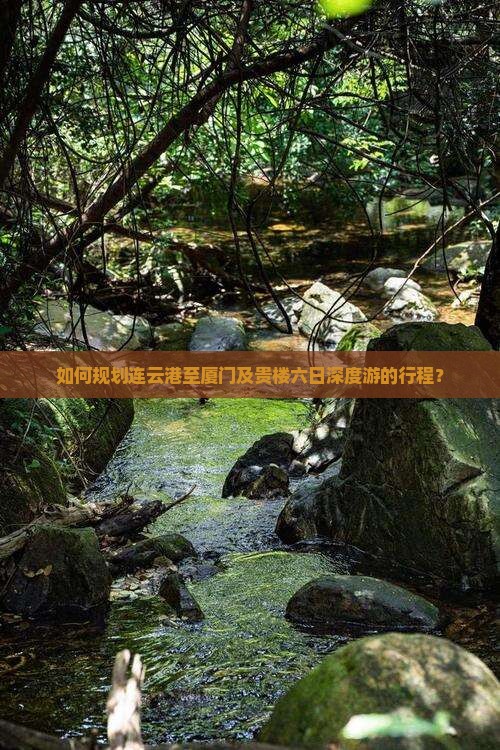 如何规划连云港至厦门及贵楼六日深度游的行程？