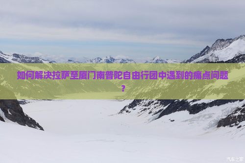 如何解决拉萨至厦门南普陀自由行团中遇到的痛点问题？