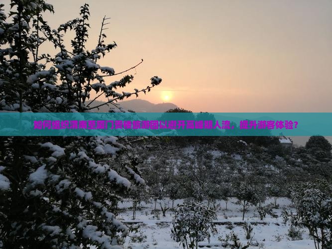 如何组织渭南至厦门贵楼旅游团以避开高峰期人流，提升游客体验？