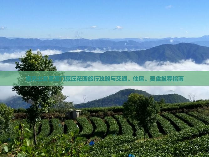 南充出发至厦门菽庄花园旅行攻略与交通、住宿、美食推荐指南