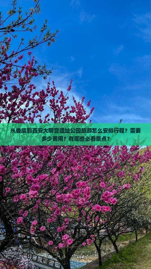 从娄底到西安大明宫遗址公园旅游怎么安排行程？需要多少费用？有哪些必看景点？