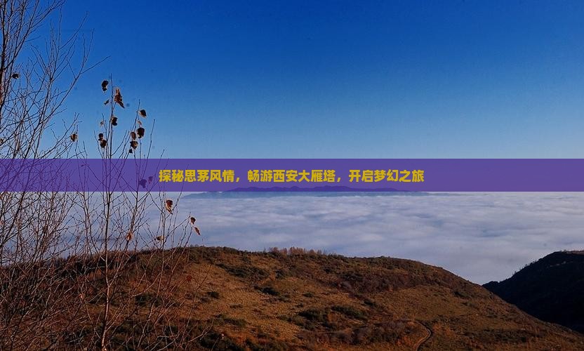 探秘思茅风情，畅游西安大雁塔，开启梦幻之旅