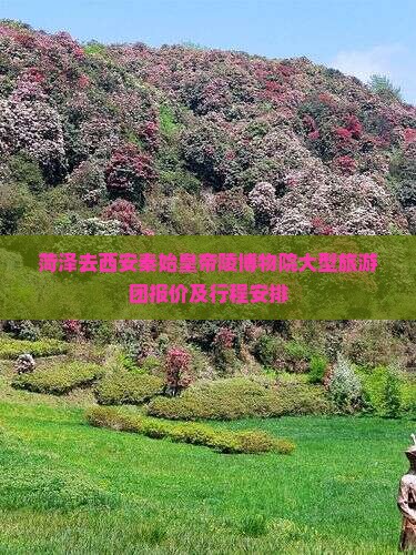 菏泽去西安秦始皇帝陵博物院大型旅游团报价及行程安排
