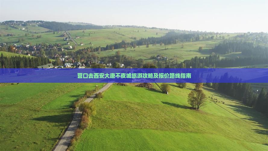营口去西安大唐不夜城旅游攻略及报价路线指南