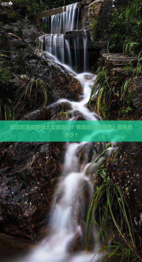 保定到西安钟楼大型旅游团？有哪些路线推荐？费用是多少？