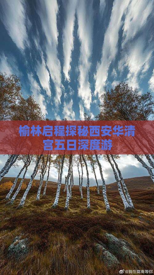 榆林启程探秘西安华清宫五日深度游
